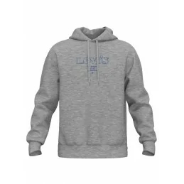 28406SWEATSHIRT A CAPUCHET 2 RELAXED GRAPHICLEVIS