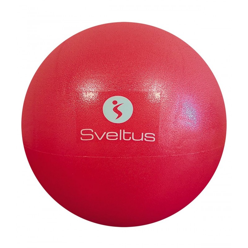 BALLON PEDAGOGIQUE SVELTUS SPORT2000 Ploërmel et Locminé