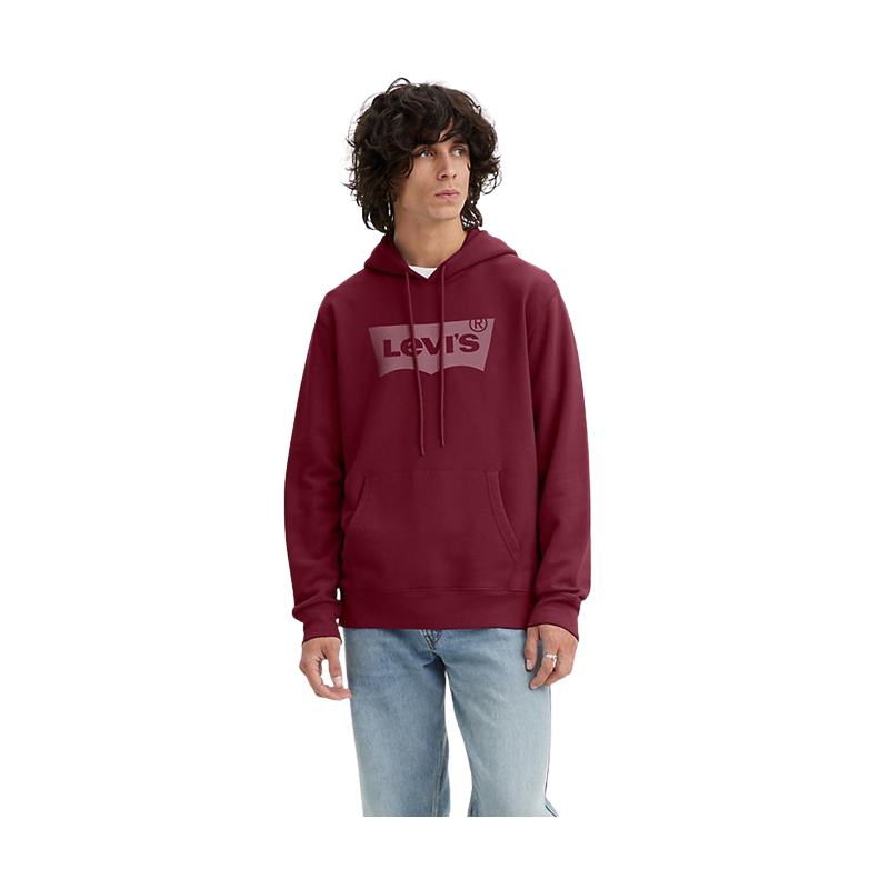 SWEATSHIRT STANDARD GRAPHIC HOODIE LEVIS SPORT2000 Ploërmel et Locminé