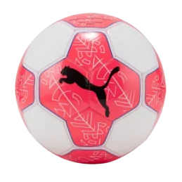 BALLON DE FOOTBALL PUMA