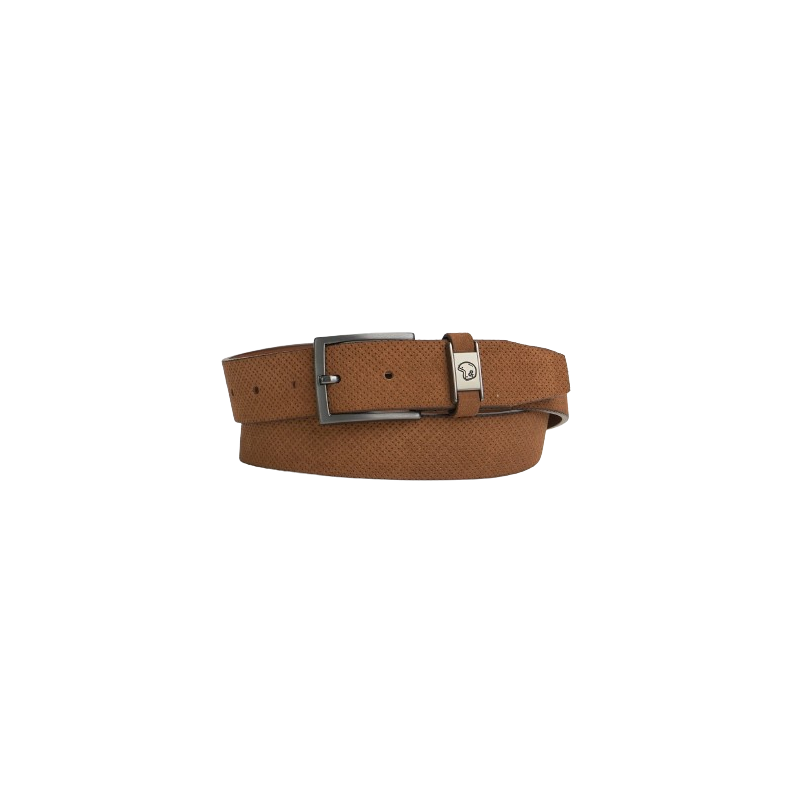 CEINTURE CAMEL CITRUS BENSON AND CHERRY SPORT2000 Ploërmel et Locminé CEINTURE CAMEL CITRUS BENSON AND CHERRY SPORT2000 Ploërmel et Locminé