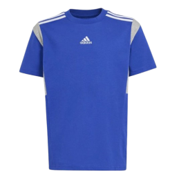 TEE SHIRT B T CB