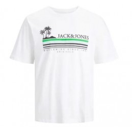 JORCODY SUMMER TEE SS CREW...