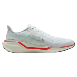 CHAUSSURES AIR ZOOM PEGASUS 41