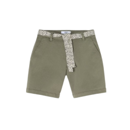 SHORT LIZARD