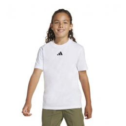 TEE SHIRT J SL TEE 160
