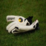GANTS GARDIEN